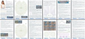 conceptcreative-crochet pattern PDF